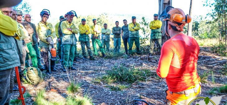 Sapadores Florestais do Norte participaram em acção de formação em Vila Verde